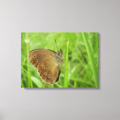 Ringlet Butterfly Canvas Print (Voorkant)