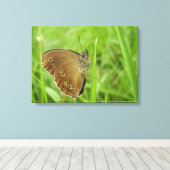Ringlet Butterfly Canvas Print (Insitu (Houten vloer))