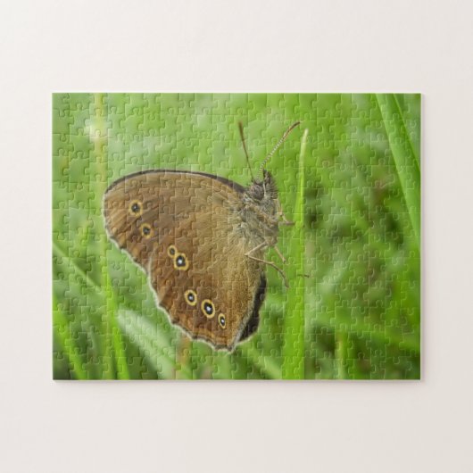 Ringlet Butterfly Photo Puzzle with Gift Box Legpuzzel (Horizontaal)