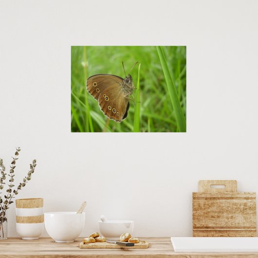 Ringlet Butterfly Poster (Keuken)
