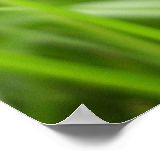 Ringlet Butterfly Poster (Hoek)