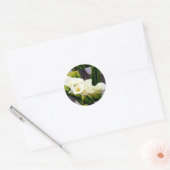 ringlijm ronde sticker (Envelop)