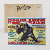  Ringling Bros Briefkaart (Voorkant / Achterkant)