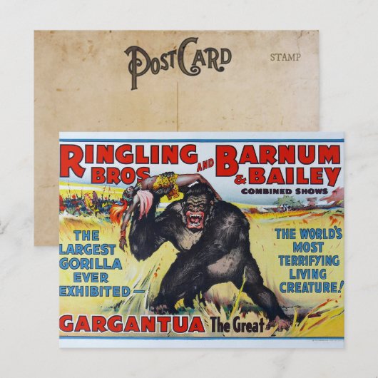  Ringling Bros Briefkaart (Voorkant / Achterkant)