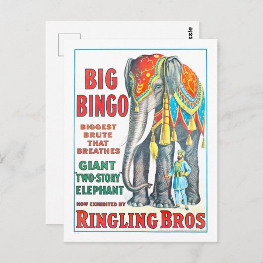 Ringling Bros Circus AD - Reuzenolifant Briefkaart (Voorkant / Achterkant)