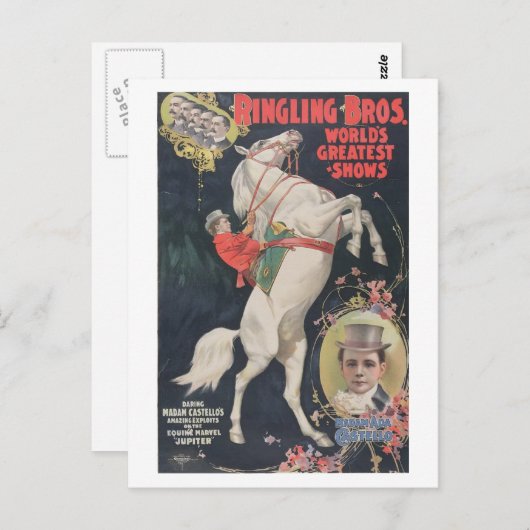 Ringling Bros. - Mevrouw Ada Castello Briefkaart (Voorkant / Achterkant)