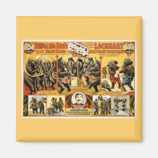 Ringling Bros Pachyderms1899 Magneet (Voorkant)