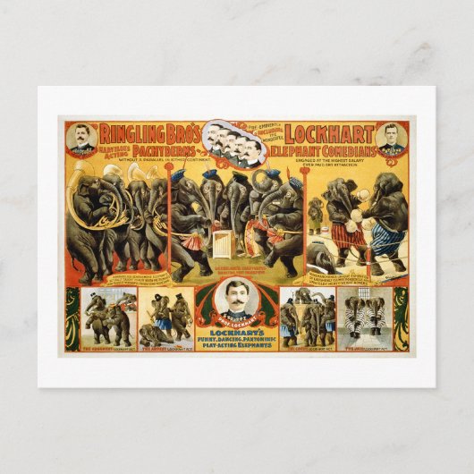 Ringling Bros Pachyderms 1899  olifanten Briefkaart (Voorkant)