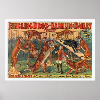 Ringling Brothers Barnum en Bailey Tigers Poster