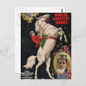 Ringling Brothers Horses Briefkaart (Voorkant / Achterkant)