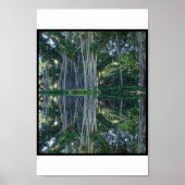Ringling Museum Banyan Trees Poster (Voorkant)