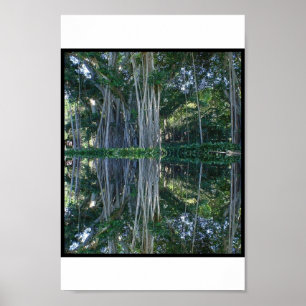 Ringling Museum Banyan Trees Poster