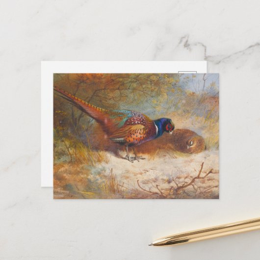 Ringneck Pheasants, wildlife natuur Briefkaart (Voorkant / Achterkant in situ)