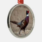 Ringnecked fazant metalen ornament (Rechts)