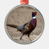 Ringnecked fazant metalen ornament (Voorkant)