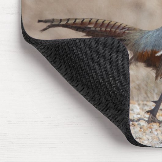 Ringnecked fazant muismat (Hoek)