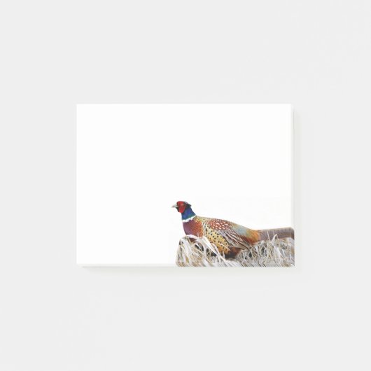 Ringnek fazant foto 4x3 notities post-it® notes (Voorkant)