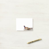 Ringnek fazant foto 4x3 notities post-it® notes (Op bureau)