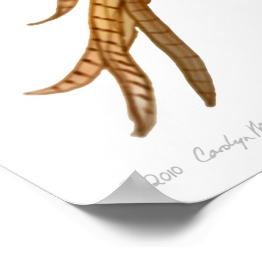 Ringnek-fazant in vliegdruk poster (Hoek)