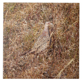 Ringnek Hen Pheasant Tile 6"x 6" Tegeltje