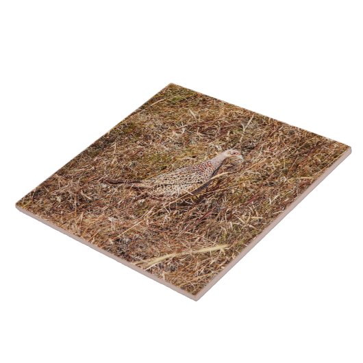 Ringnek Hen Pheasant Tile 6"x 6" Tegeltje (Zijkant)