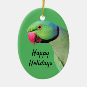 Ringnek Parrot Feestdagen Ornament