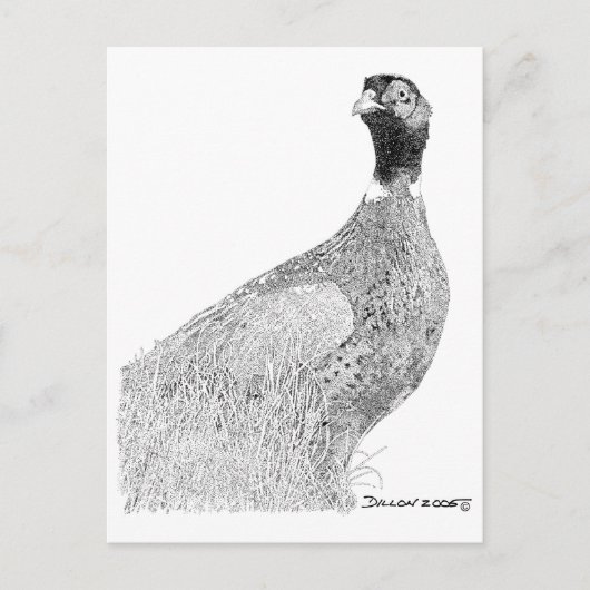 Ringnek Pheasant Briefkaart (Voorkant)