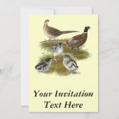 Ringnek Pheasant Familie Kaart (Voorkant)