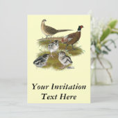 Ringnek Pheasant Familie Kaart (Staand voorkant)