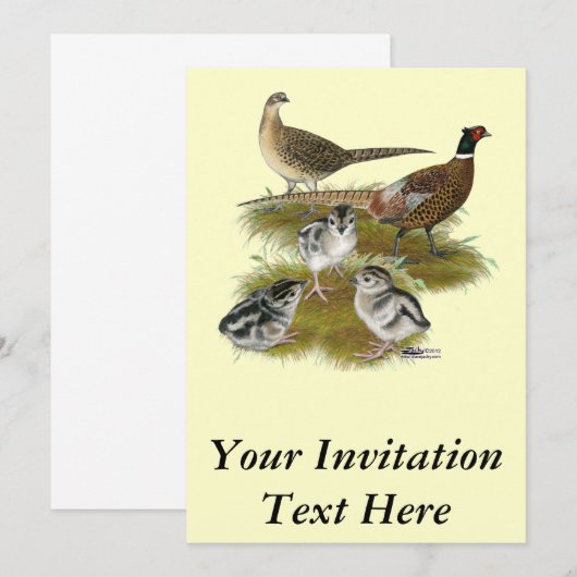 Ringnek Pheasant Familie Kaart (Voorkant / Achterkant)