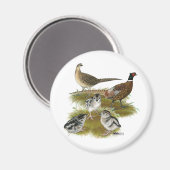 Ringnek Pheasant Familie Magneet (Voorkant / Achterkant)