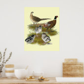 Ringnek Pheasant Familie Poster (Keuken)