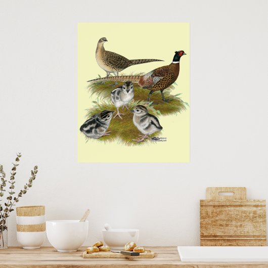 Ringnek Pheasant Familie Poster (Keuken)