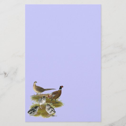 Ringnek Pheasant Family Briefpapier (Voorkant)