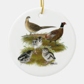 Ringnek Pheasant Family Keramisch Ornament (Voorkant)