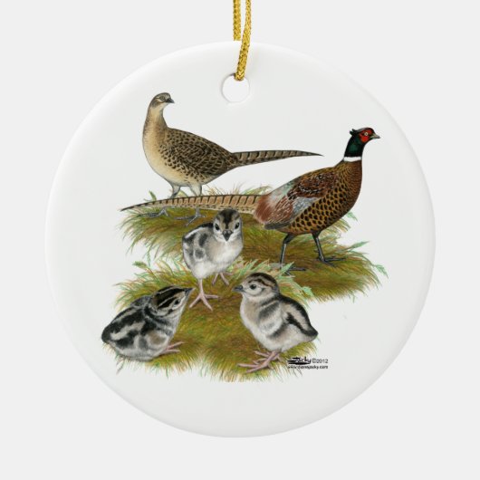 Ringnek Pheasant Family Keramisch Ornament (Voorkant)