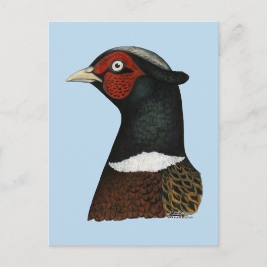 Ringnek Pheasant Head Briefkaart (Voorkant)