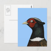 Ringnek Pheasant Head Briefkaart (Voorkant / Achterkant)