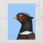 Ringnek Pheasant Head Briefkaart (Voorkant)