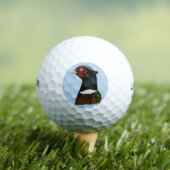 Ringnek Pheasant Head Golfballen (Insitu Shirt)