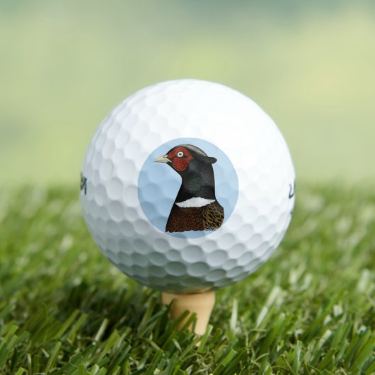 Ringnek Pheasant Head Golfballen (Insitu Shirt)
