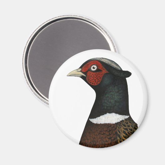 Ringnek Pheasant Head Magneet (Voorkant / Achterkant)