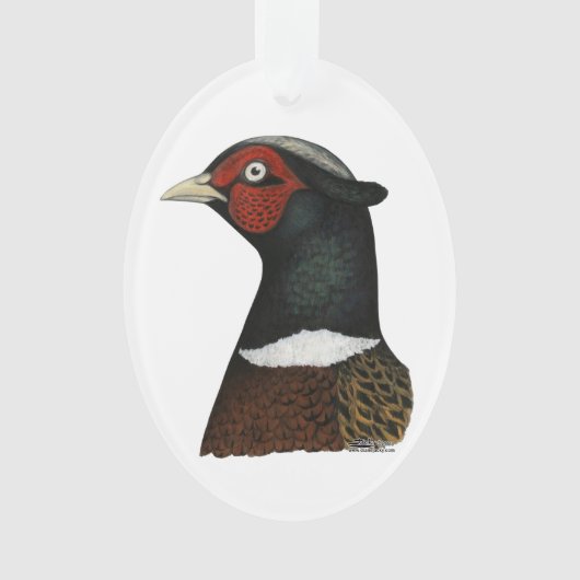 Ringnek Pheasant Head Ornament (voorkant)
