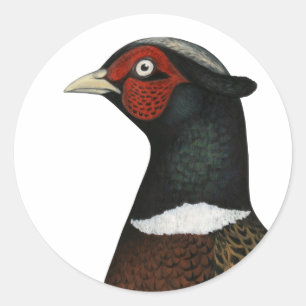 Ringnek Pheasant Head Ronde Sticker