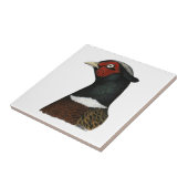 Ringnek Pheasant Head Tegeltje (Zijkant)