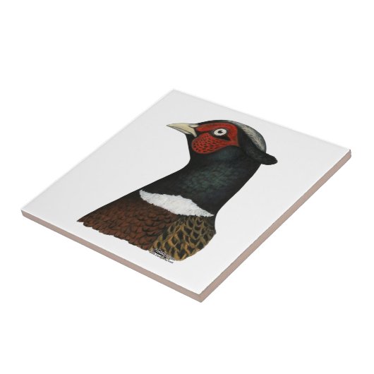 Ringnek Pheasant Head Tegeltje (Zijkant)