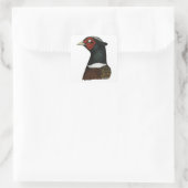 Ringnek Pheasant Head Vierkante Sticker (Tas)
