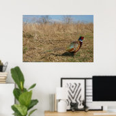 Ringnek Pheasant Poster (Thuiskantoor)