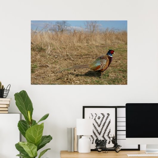 Ringnek Pheasant Poster (Thuiskantoor)