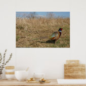 Ringnek Pheasant Poster (Keuken)